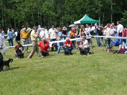 23.VI.2007 #WystawyPsów