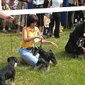 23.VI.2007 #WystawyPsów