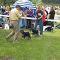 23.VI.2007 #WystawyPsów
