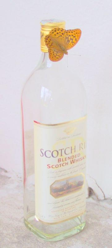 scotch whisky