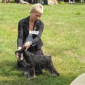 23.VI.2007 #WystawyPsów