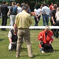 23.VI.2007 #WystawyPsów