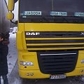 daf