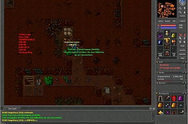 #Tibia
