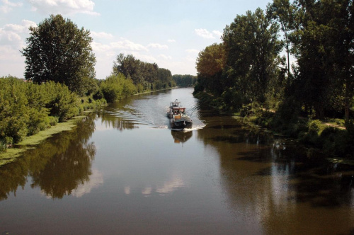 Kładka nad Kanałem Żerańskim.
TAAKA RYBA TAM SIĘ TŁUCZE