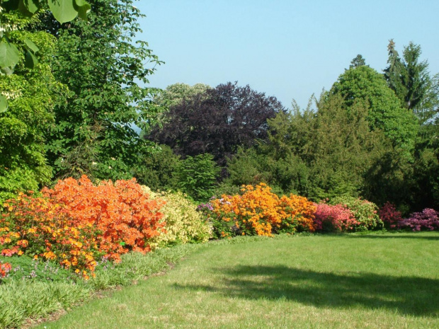 ARBORETUM w WOJSŁAWICACH