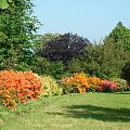 ARBORETUM w WOJSŁAWICACH