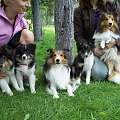 Smart, Holly, Lassie, Queen i Bella
