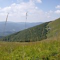 #Bieszczady #PołoninaWetlińska #Tarnica