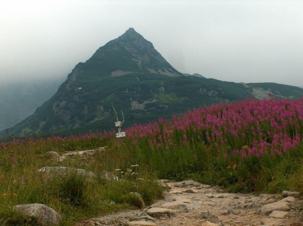 Tatry