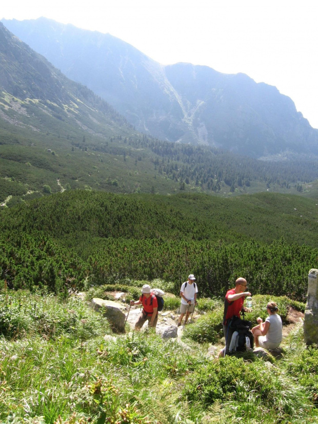 Mięguszowiecką Doliną nad Hinczowe Stawy #Góry #Tatry