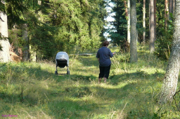 #PetlaWokółJezioraŚniardwy #Mazury #Remes