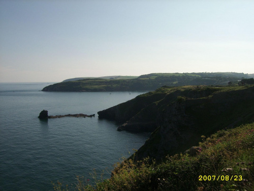 berry head