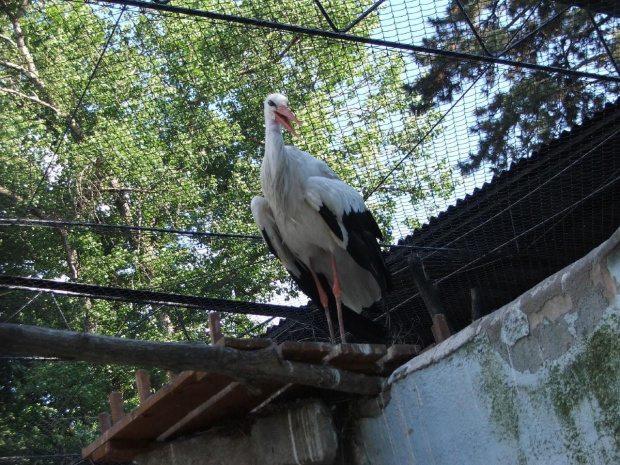 Dalsza część zdjątek z Zoo