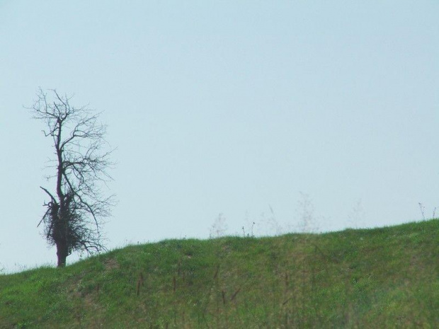 Beskid Niski