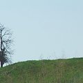 Beskid Niski