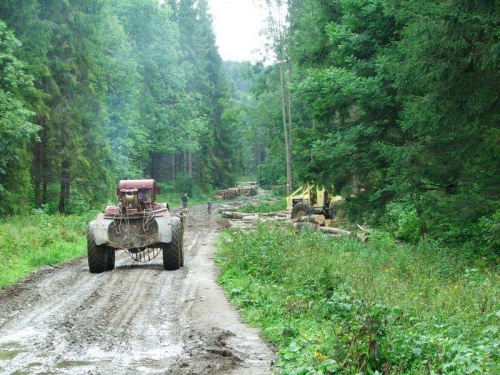 Błoto po kostki (Bieszczady)