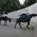 ANIMALS IN WAR
-THEY HAD NO CHOICE.
Pomnik pożwięcony zwierzętom biorącym udział w wojnach. #Londyn #pomnik #animals #zwierzęta #wojna