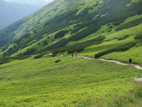 #Tatry #góry