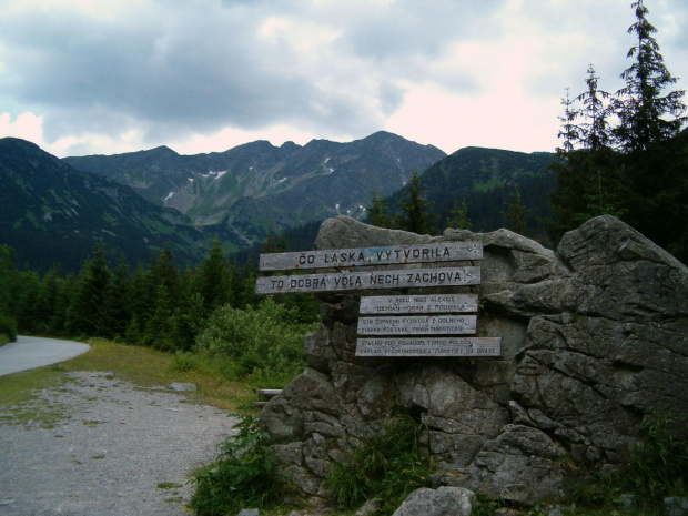 w Dolinie Rohackiej #Tatry #góry