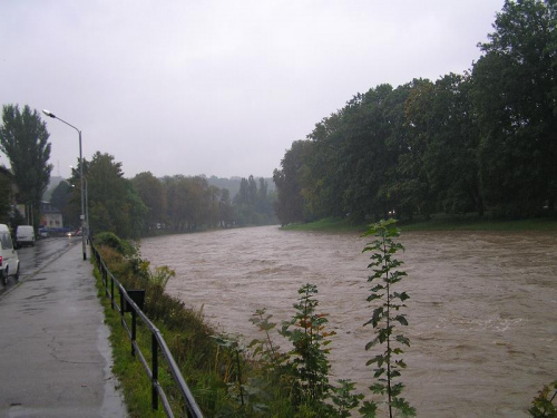 Olza w Cieszynie