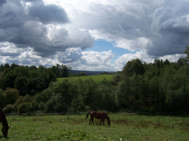 Mój mały Raj :)) #konie #Dubiecko #krajobraz #łąki #podkarpacie