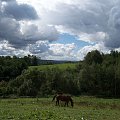 Mój mały Raj :)) #konie #Dubiecko #krajobraz #łąki #podkarpacie