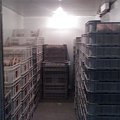 Fura chleba-sobota w końcu...