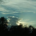 podobne: palma i chmura, Floryda #usa #wycieczka