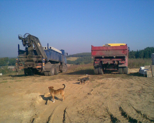 Płyty na autach