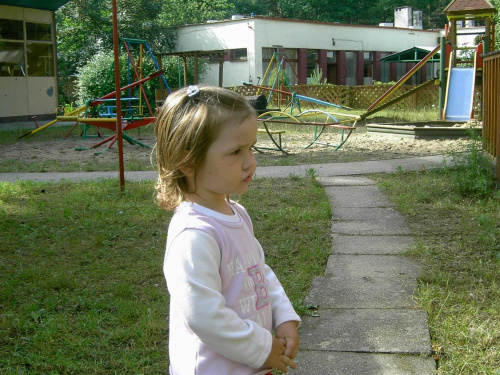 STEGNA 2007 WIKI