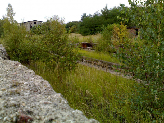 Teren 1