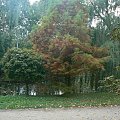 Jesień